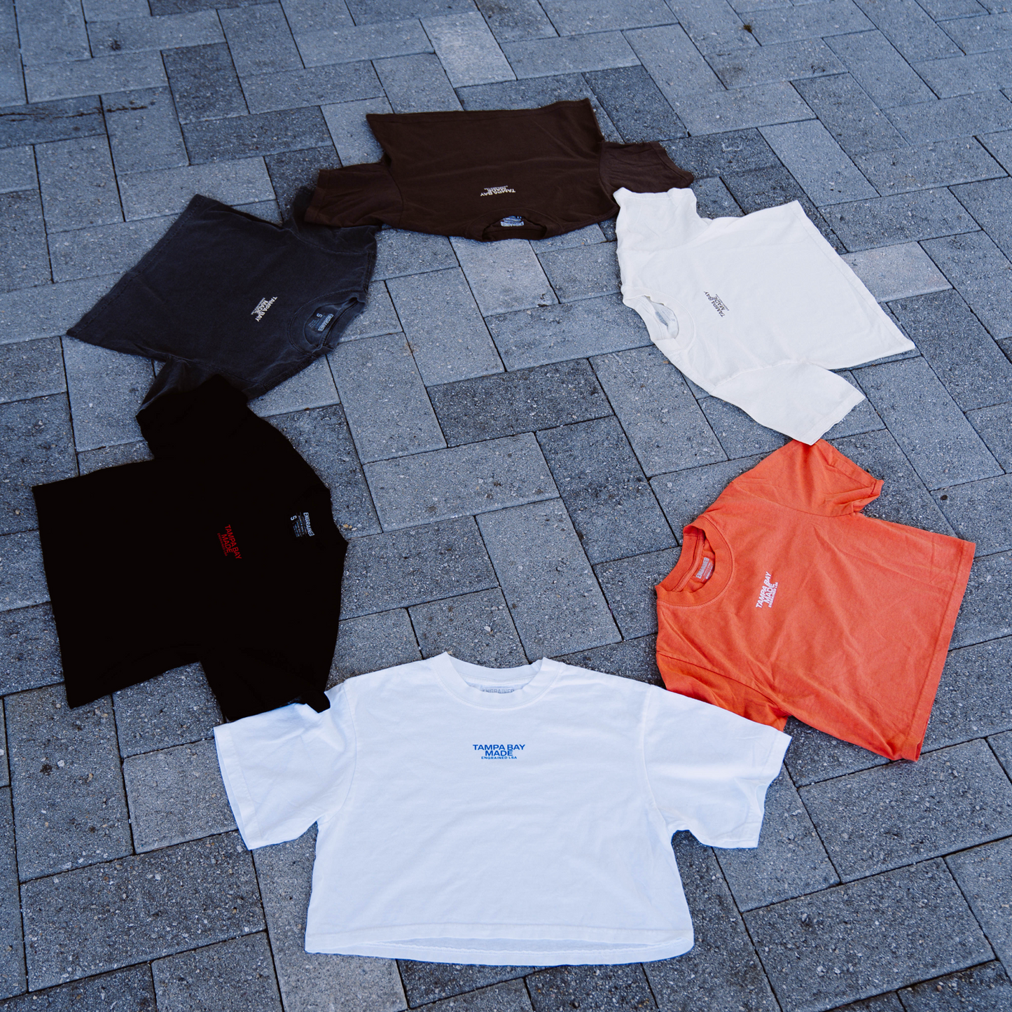 Tampa Bay Made Cropped Staple Tee (White/Royal)