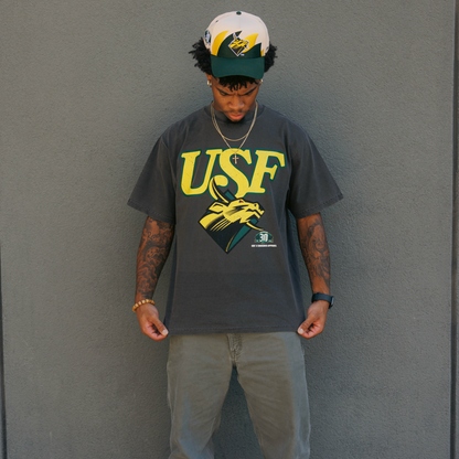 30th Robo Bull Tee