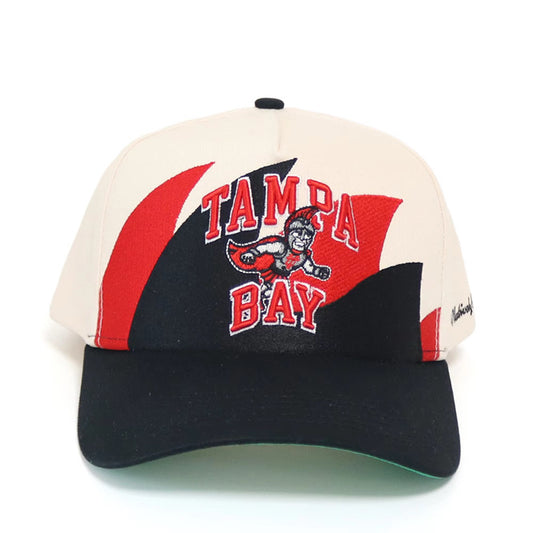 Tampa Bay SPARTY Runner Vintage Wave Snapback (Cream/Black/Red)