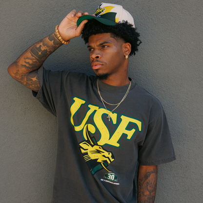 30th Robo Bull Tee